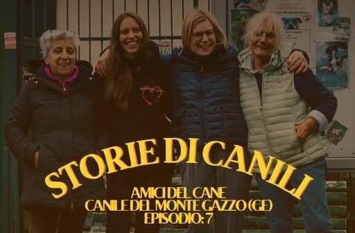 non sono «un di più» non sono «un di più»