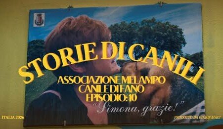 ci vuole cultura, e visione, ed educazione