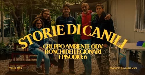 «l'animale è un essere umano»