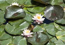 1df1fbe7b71b0f1ef4480376cfe3572034ae3b58 1df1fbe7b71b0f1ef4480376cfe3572034ae3b58