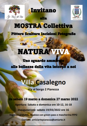 2022_03 villa casalegno mostra collettiva natura viva