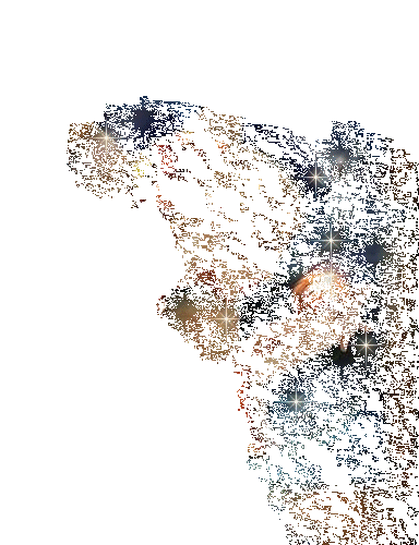 51ffb81c58368e565a2d12d8cf518b78b0ae5653