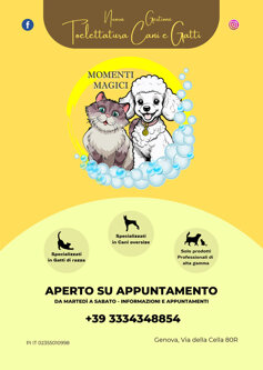 volantini_e_flyer_a6_pubblicita.jpeg