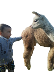 img-20231015-wa0016-removebg-preview