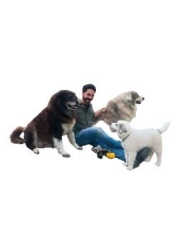 img_20250427_112356961_hdr-removebg-preview img_20250427_112356961_hdr-removebg-preview