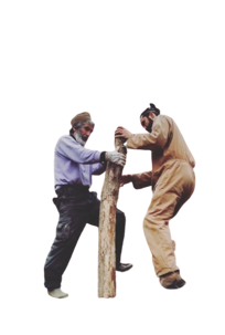 pali-removebg-preview