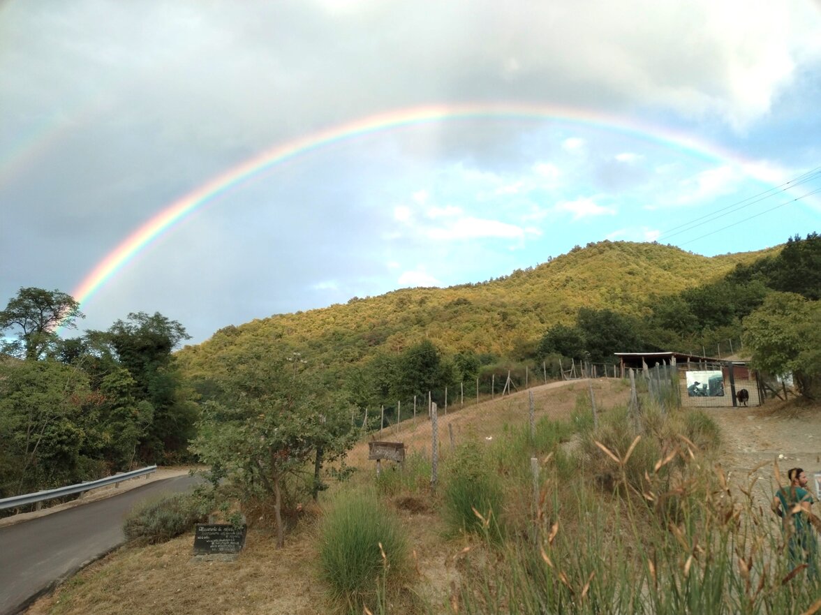 nuiva arcobaleno.jpeg