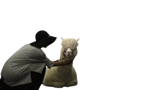 mosto_filatura-removebg-preview