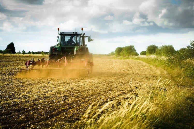Calabria, le assegnazioni di carburante agricolo dai Caa