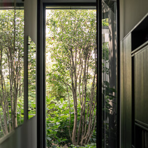 foto%20casa%20vivaio-urbana%20production-leggere-2.jpeg foto%20casa%20vivaio-urbana%20production-leggere-2.jpeg