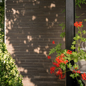 foto%20casa%20vivaio-urbana%20production-leggere-35.jpeg foto%20casa%20vivaio-urbana%20production-leggere-35.jpeg