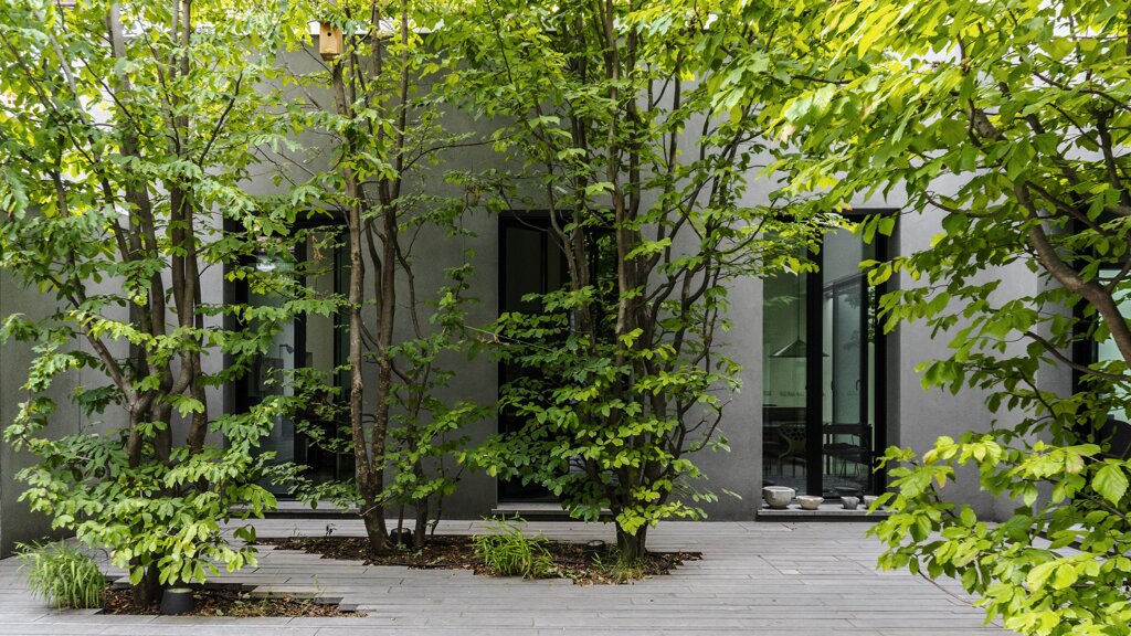 8-foto-casa-tra-gli-alberi.jpeg