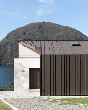 14. la casa sul lago-ingresso-elena bertinotti.jpeg
