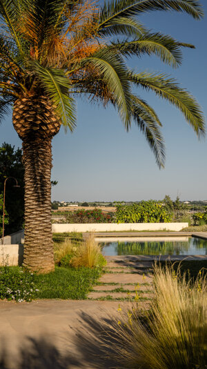 foto%20casa%20caroseno%20-%20urbana%20production%20-%20leggere%20-43.jpeg foto%20casa%20caroseno%20-%20urbana%20production%20-%20leggere%20-43.jpeg