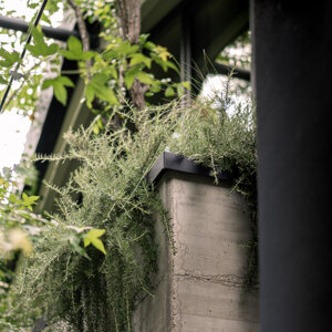 foto%20casa%20vivaio-urbana%20production-leggere-24.jpeg foto%20casa%20vivaio-urbana%20production-leggere-24.jpeg