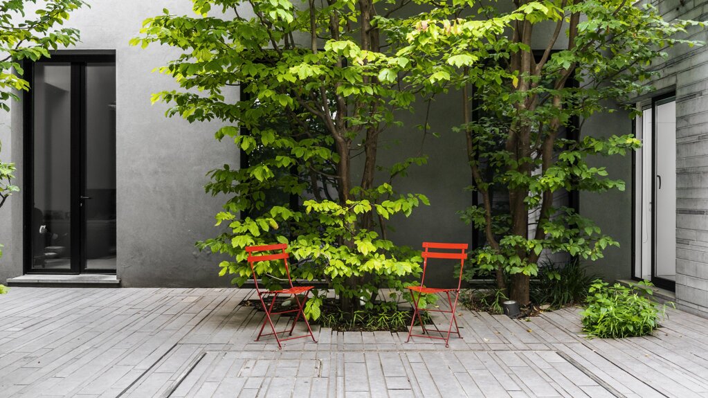 1-foto-casa-tra-gli-alberi.jpeg