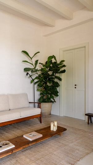 foto%20casa%20caroseno%20-%20urbana%20production%20-%20leggere%20-25.jpeg foto%20casa%20caroseno%20-%20urbana%20production%20-%20leggere%20-25.jpeg