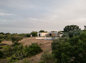 Vista aerea della casa a corte immersa negli uliveti della Valle d'Itria, Puglia