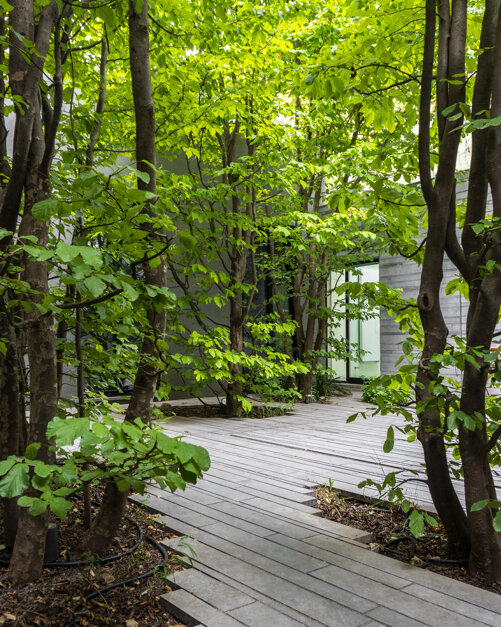 7-foto-casa-tra-gli-alberi.jpeg