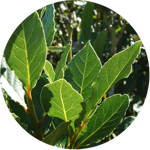 622cf3947952f650763fa018575d48e15dc33f13