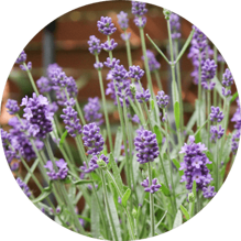 9708e9bfadcb4f2e765d24af10db912a89647d7b