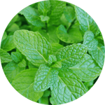 a78abfd46ef6511572a96d199aa2845285b21444