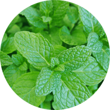 a78abfd46ef6511572a96d199aa2845285b21444 a78abfd46ef6511572a96d199aa2845285b21444