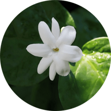 ab261103b1655ba9e7fd2991cb19e51a054d863c