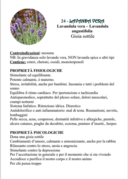 d1544fa7332f4c5945c3acd99b21a5fff53455ab