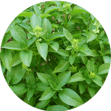 ecd68fc5e958c61a663b6d95f1af300ecd4bd191