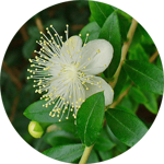 fd2af76df27d01ab1ead505c5cd4ac711be8f699