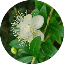 fd2af76df27d01ab1ead505c5cd4ac711be8f699