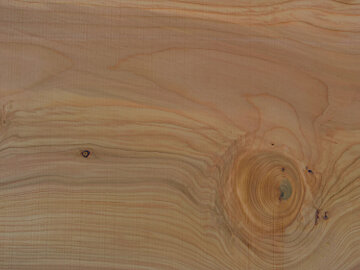 CEDRO NATURALE (SOLO FORTI SPESSORI) CEDRO NATURALE (SOLO FORTI SPESSORI)