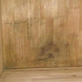 eliminare muffa dal legno eliminare muffa dal legno