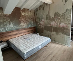 489431787_1290474375887567_8735852951466559138_n 489431787_1290474375887567_8735852951466559138_n