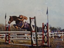 dab3c847858b296e8d338ccd8c9f44f060a4070a