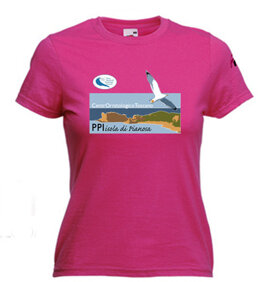 10ed2c48c00a78c322a2ed2c49c1ed4c1fae712a