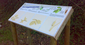 031220122891.jpeg