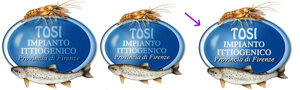 logo%20cane%20e%20gatto.jpeg