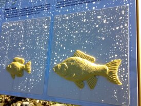 19698e2326d1bc6f7ef46f833007f92cf5337bc7.jpeg 19698e2326d1bc6f7ef46f833007f92cf5337bc7.jpeg