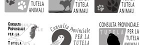 chiro%20frasassi%2027