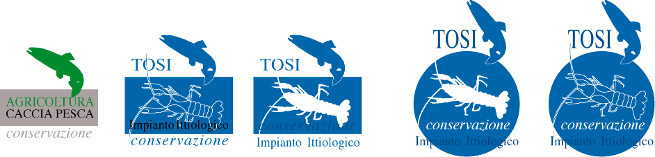 logob%20morette%20tracciati.jpeg