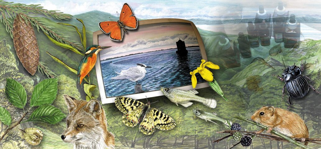 4592737b850295d8a0c19a2e9a8cc051b1a94d3e.jpeg 4592737b850295d8a0c19a2e9a8cc051b1a94d3e.jpeg