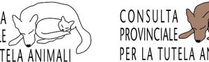provfi-logo%20approvato.jpeg