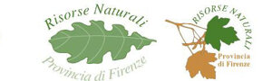 logo_arts_grafica_2