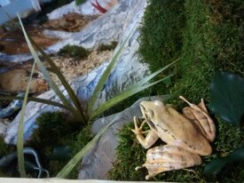 a1c79e73bc4630705063601d0950f04e9a5a4c87.jpeg a1c79e73bc4630705063601d0950f04e9a5a4c87.jpeg