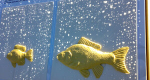 011220122888.jpeg
