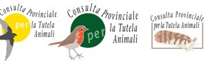 logo%20scuola6.jpeg
