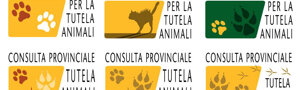 nibbio%20frasassi%2028