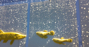 011220122882.jpeg
